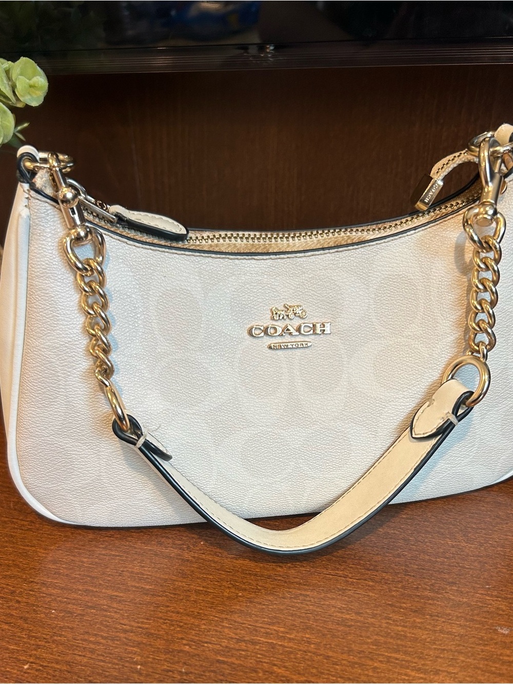 COACH Teri Shoulder Bag in Signature Canvas